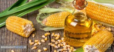 بهترین زمان کاشت ذرت بهترین زمان کاشت ذرت