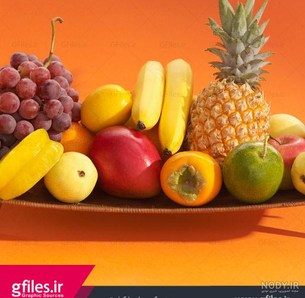 ظروف پذیرایی جدید