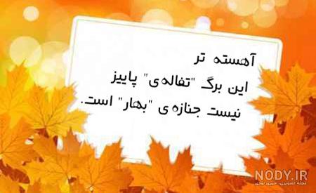 عکس بارش باران در شب