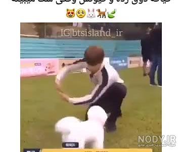 عکس سگ جیمین