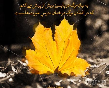 عکس پاییز بارانی