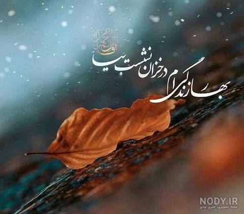 عکس پاییز دلگیر