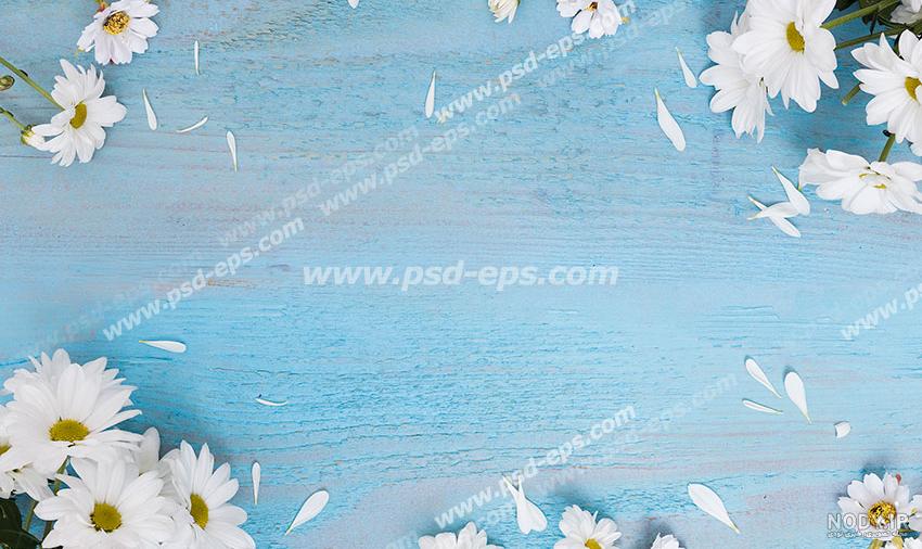 عکس پس زمینه نوشته دار