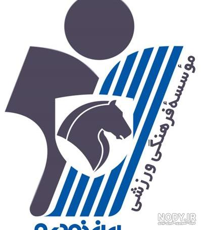 سرمربی جدید تیم فوتبال پیکان