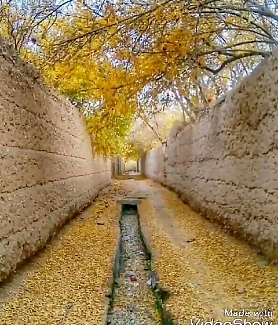 صبح بخیر دوشنبه پاییزی صبح بخیر دوشنبه پاییزی