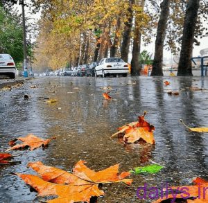 عکس باران و پنجره عکس باران و پنجره