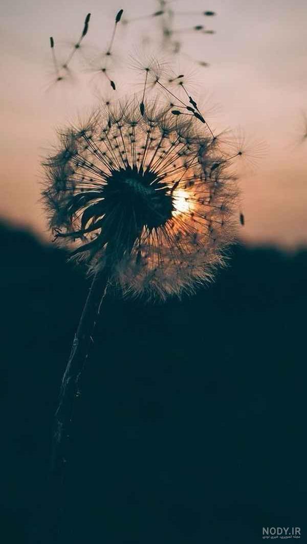 عکس تصویر زمینه باحال