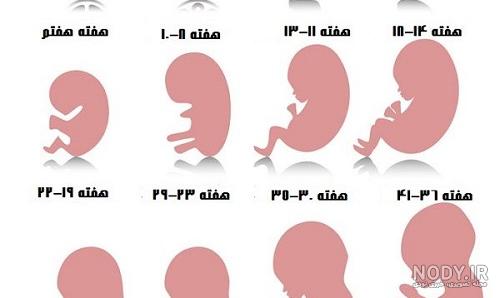 عکس حاملگی ماه چهره خلیلی