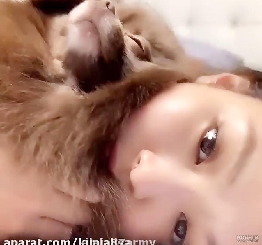 عکس سگ جنی بلک پینک عکس سگ جنی بلک پینک