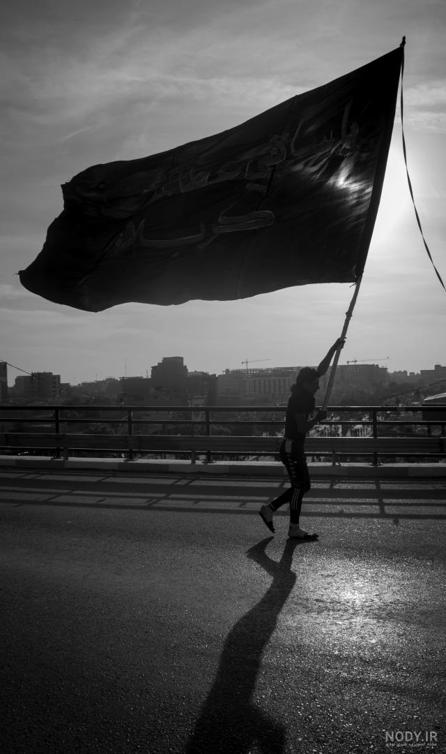 عکس سیاه سفید شاخ