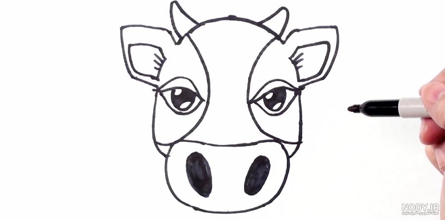 عکس صورت گاو برای نقاشی