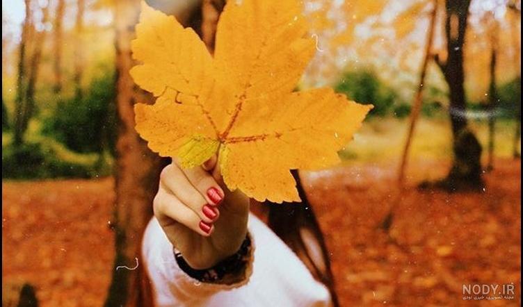 عکس غروب پاییز برای پروفایل