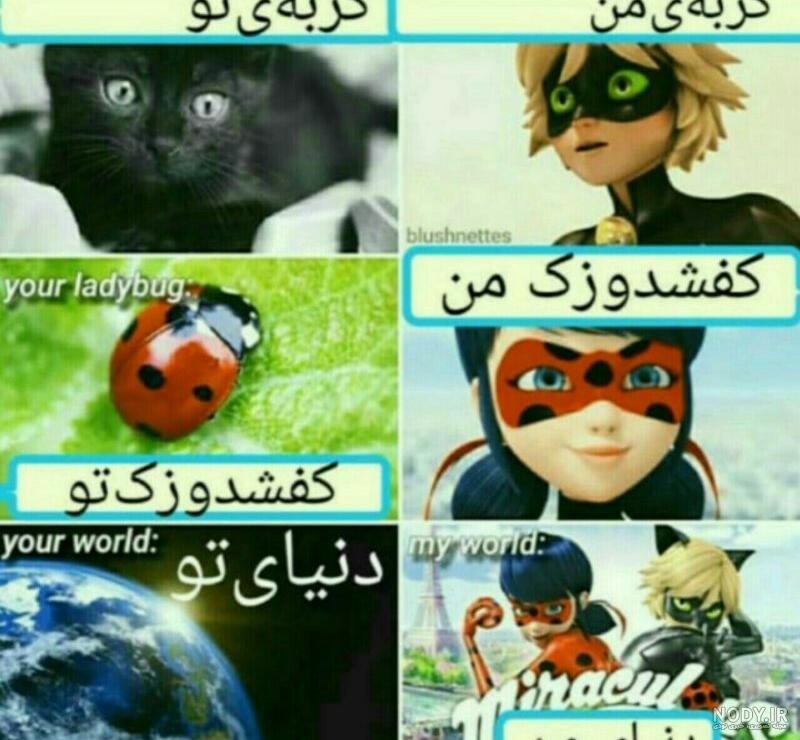عکس لیدی باگ کیوت