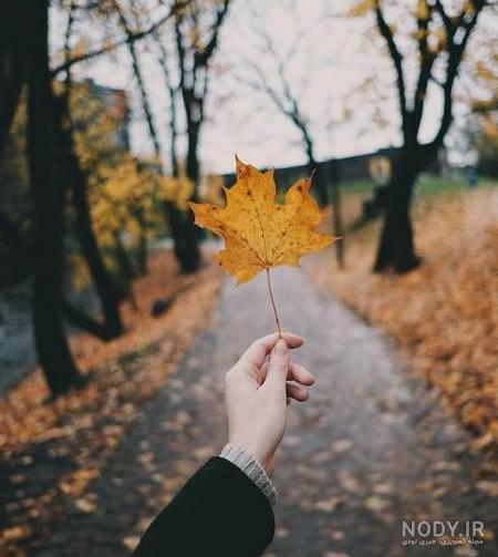 عکس پاییزی برای پروفایل واتساپ
