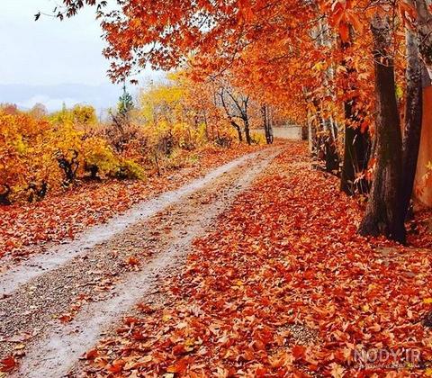 عکس پاییزی قشنگ عکس پاییزی قشنگ