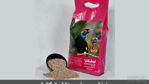 عکس پلت غذای مینا