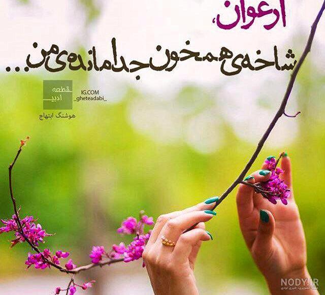 لوگو ارغوان