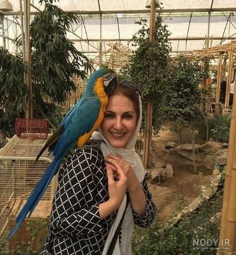 خواستگاری حامد از یاسمن در لحظه گرگ و میش خواستگاری حامد از یاسمن در لحظه گرگ و میش