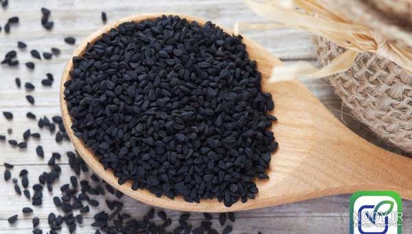 روغن سیاه دانه مالشی برای لاغری شکم