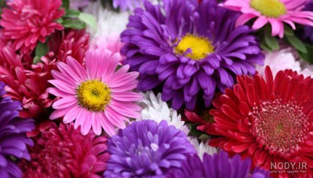 شعری برای تولد مینا