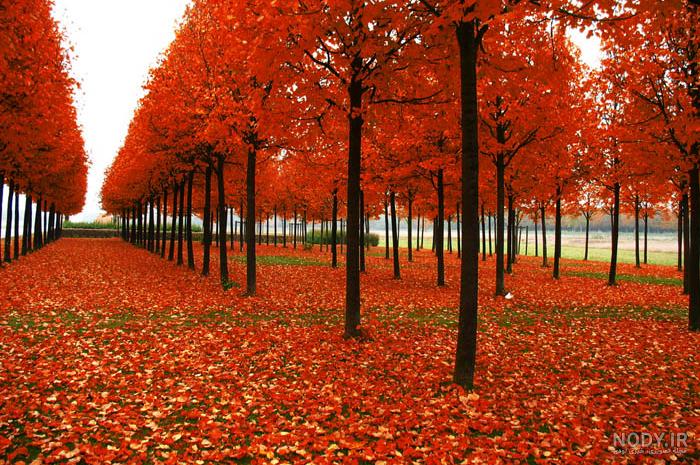 عکس برای فصل پاییز عکس برای فصل پاییز