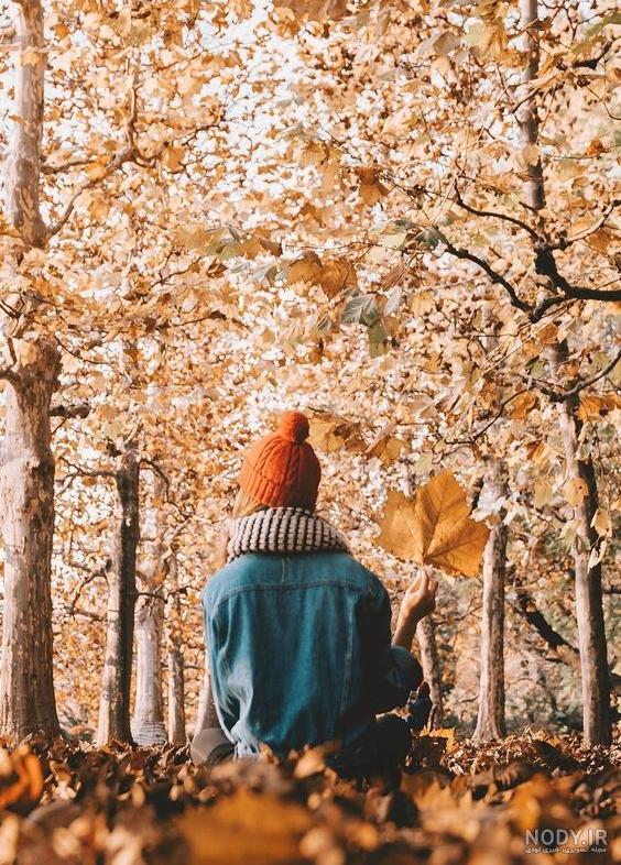 عکس برگ برای طراحی عکس برگ برای طراحی