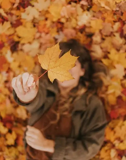 عکس برگ پاییزی