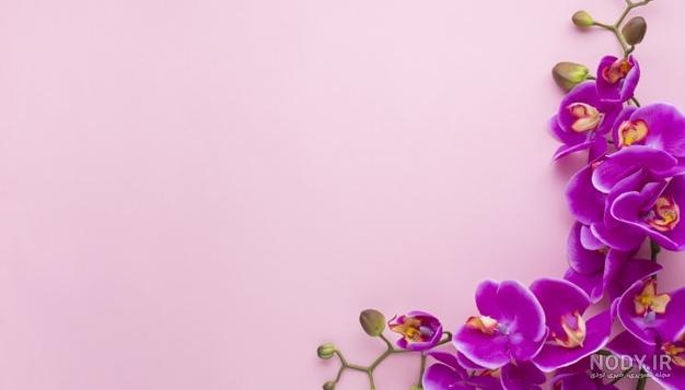 عکس خام برای نوشتن دخترانه عکس خام برای نوشتن دخترانه