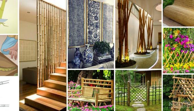 عکس خلاقانه برای گروه