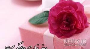 عکس خنده دار حیوانات عکس خنده دار حیوانات