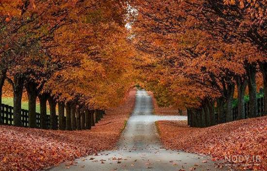 عکس خیلی زیبای پاییزی عکس خیلی زیبای پاییزی