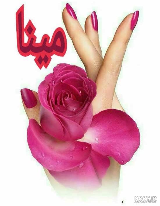 عکس زیبای مینا