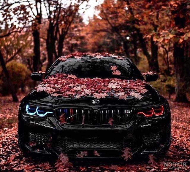 عکس ماشین واقعی عکس ماشین واقعی