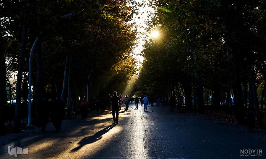 عکس پاییز برای پروفایل واتساپ عکس پاییز برای پروفایل واتساپ