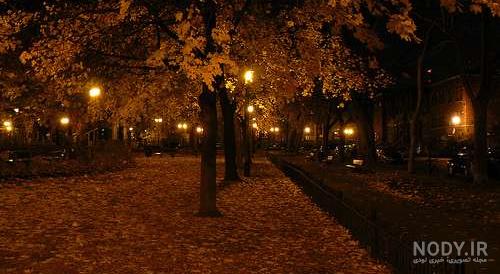 عکس پاییز در شب عکس پاییز در شب