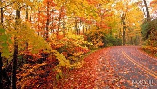 عکس پاییزی غمگین عکس پاییزی غمگین
