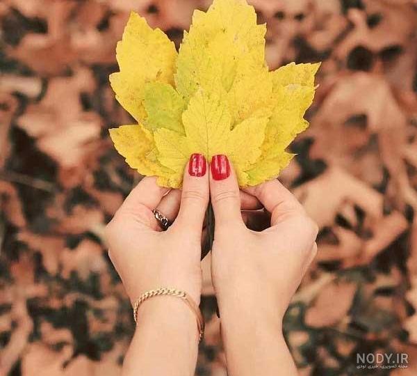 عکس گل پاییزی عکس گل پاییزی