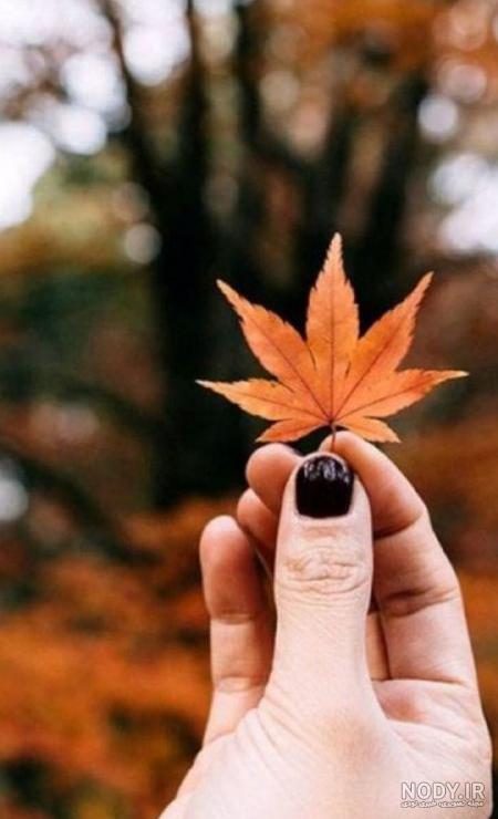 پروفایل پاییزی لاکچری اینستا پروفایل پاییزی لاکچری اینستا