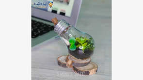 چگونه با موبایل عکس ماکرو بگیریم