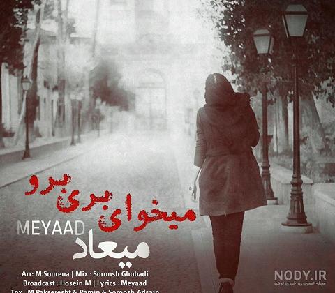 کلیپ اهنگ میخوای بری باشه برو خوش باش