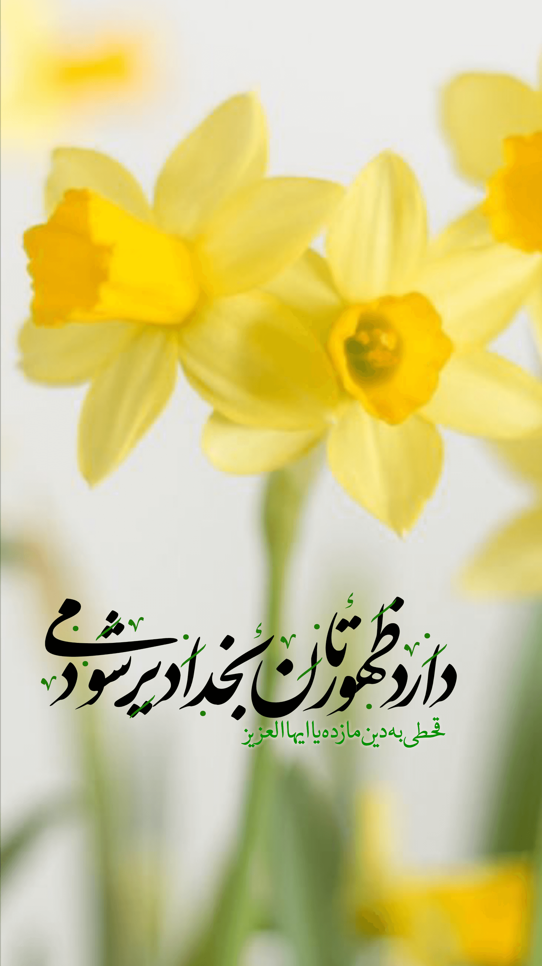 استوری امام زمان جدید استوری امام زمان جدید