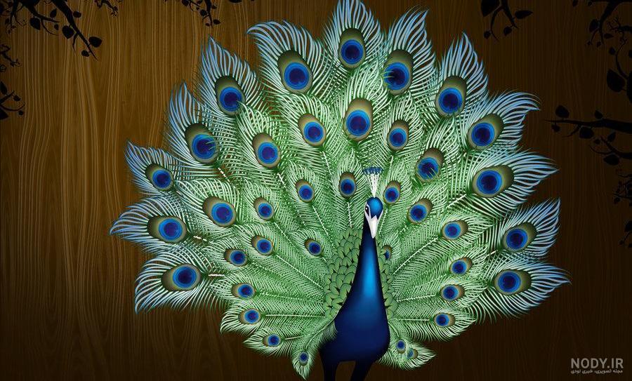 رنگ طاووس نقاشی
