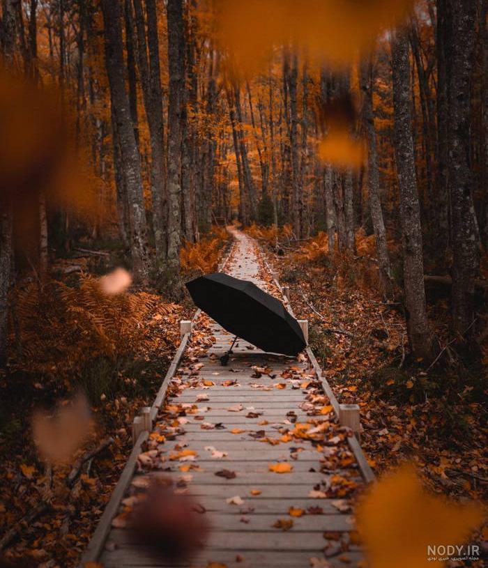 عکس برگ پاییزی برای پس زمینه عکس برگ پاییزی برای پس زمینه