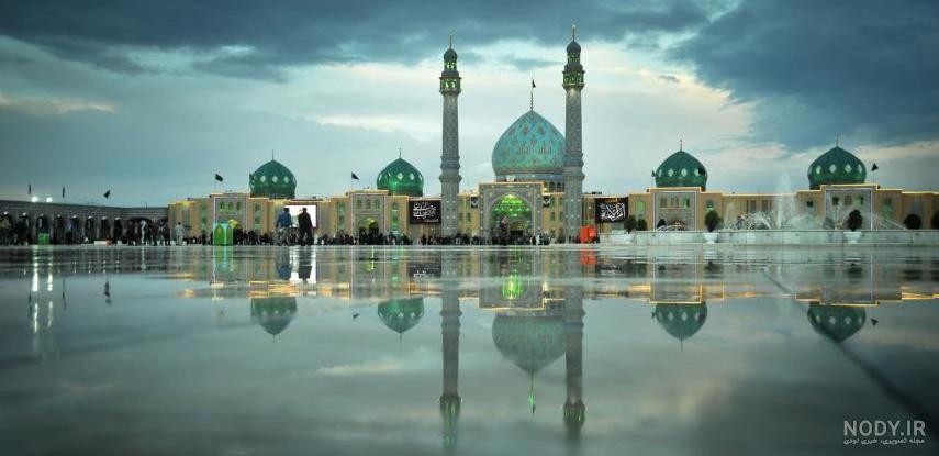 عکس جمکران با گل نرگس