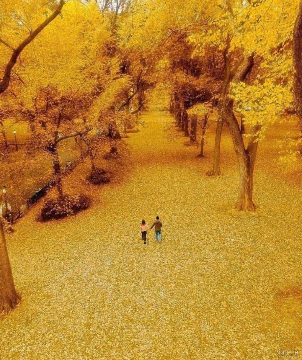 عکس زیبا از پاییز عاشقانه