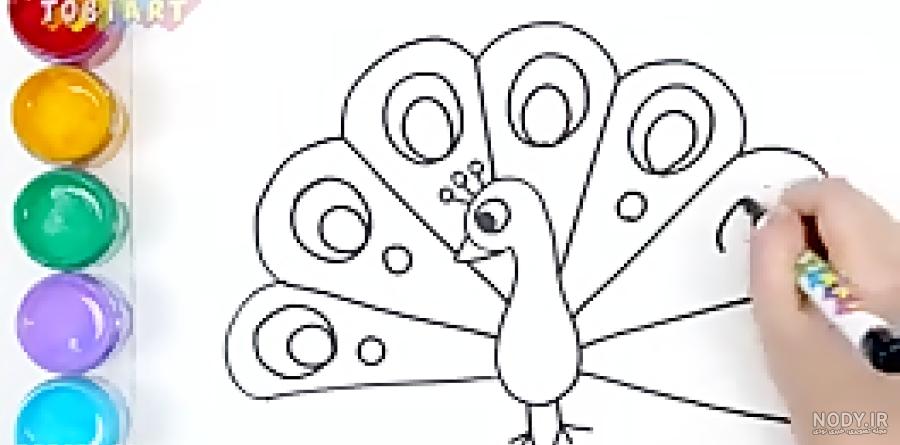 عکس طاووس ساده برای نقاشی