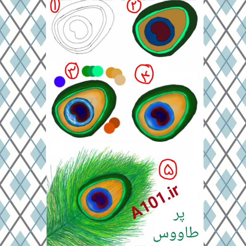 عکس نقاشی طاووس ساده