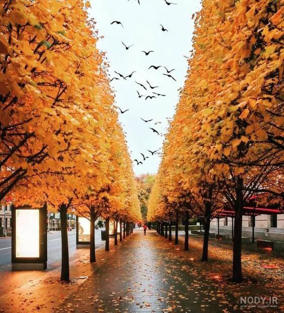 عکس پاییز بارانی دخترانه