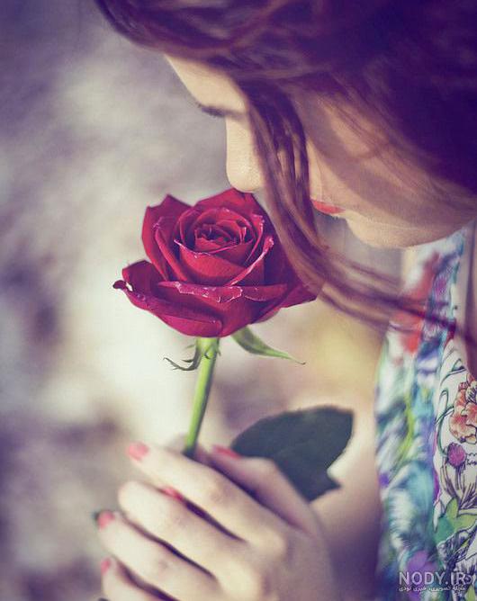عکس گل برای پروفایل واتساپ دخترانه