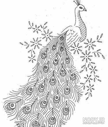 نقاشی طاووس سفید